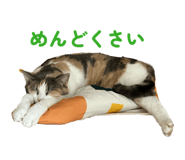 845764513