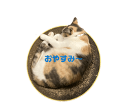 845764514