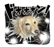 845765199