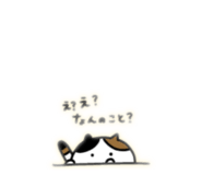 845765232