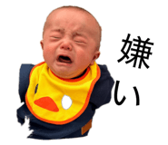845765354