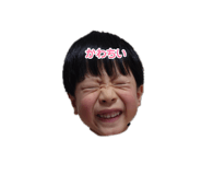 845765568
