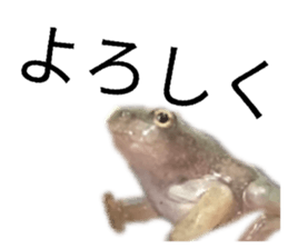 845765726