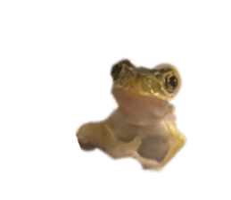 845765729
