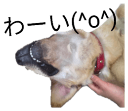 845765736