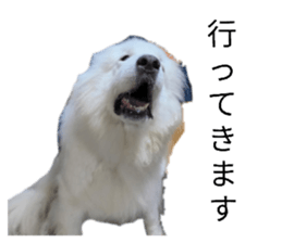 845765741