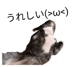 845765748