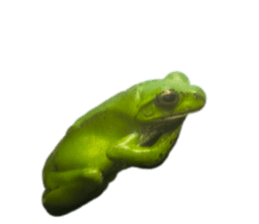 845765756