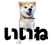 845765785