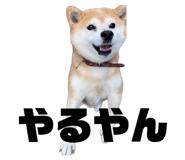 845765786