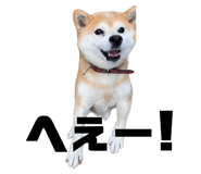 845765787