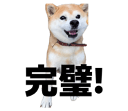 845765788