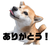 845765789