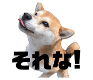 845765791