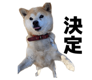 845765794