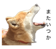 845766348