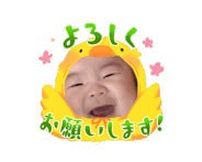 845766637