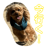 845767099