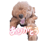 845767100