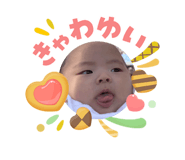 845767817