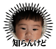 845768004