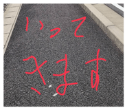 845768115
