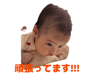 845768403
