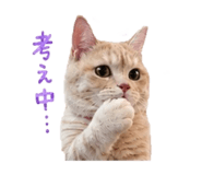 845768609