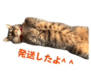 845769865