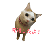 845769866