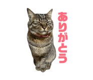 845769867