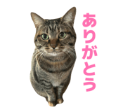 845769868