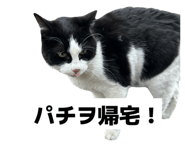 845769869