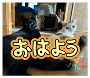 845769870