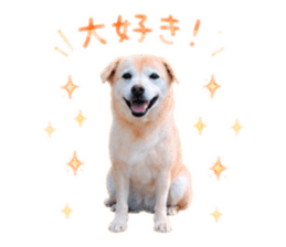 845770090