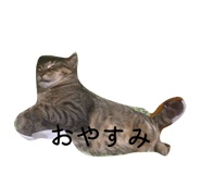 845770106
