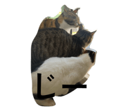 845770111