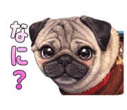 845770244