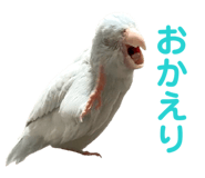 845771107