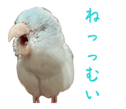 845771108