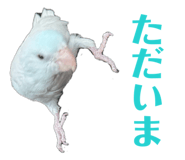 845771110