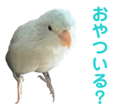 845771116