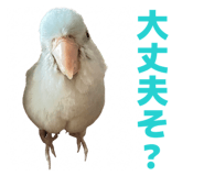 845771118