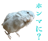 845771119