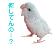 845771120