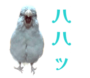 845771121