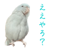 845771122