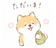 845771344