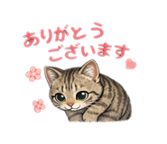 845771398