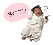 845771645